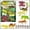 Multicolor, variant on Jungle Animal Figurines Set, 6PC Plastic Simulation Playset, Wildlife Educational Toys, Sorting Matching Learning Kit, Fine Motor Skill Activity, Classroom Desktop Animal Figures Gift
