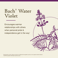 thumbnail image 3 of Bach Original Flower Remedies, Water Violet - 20 mL Dropper, 3 of 6