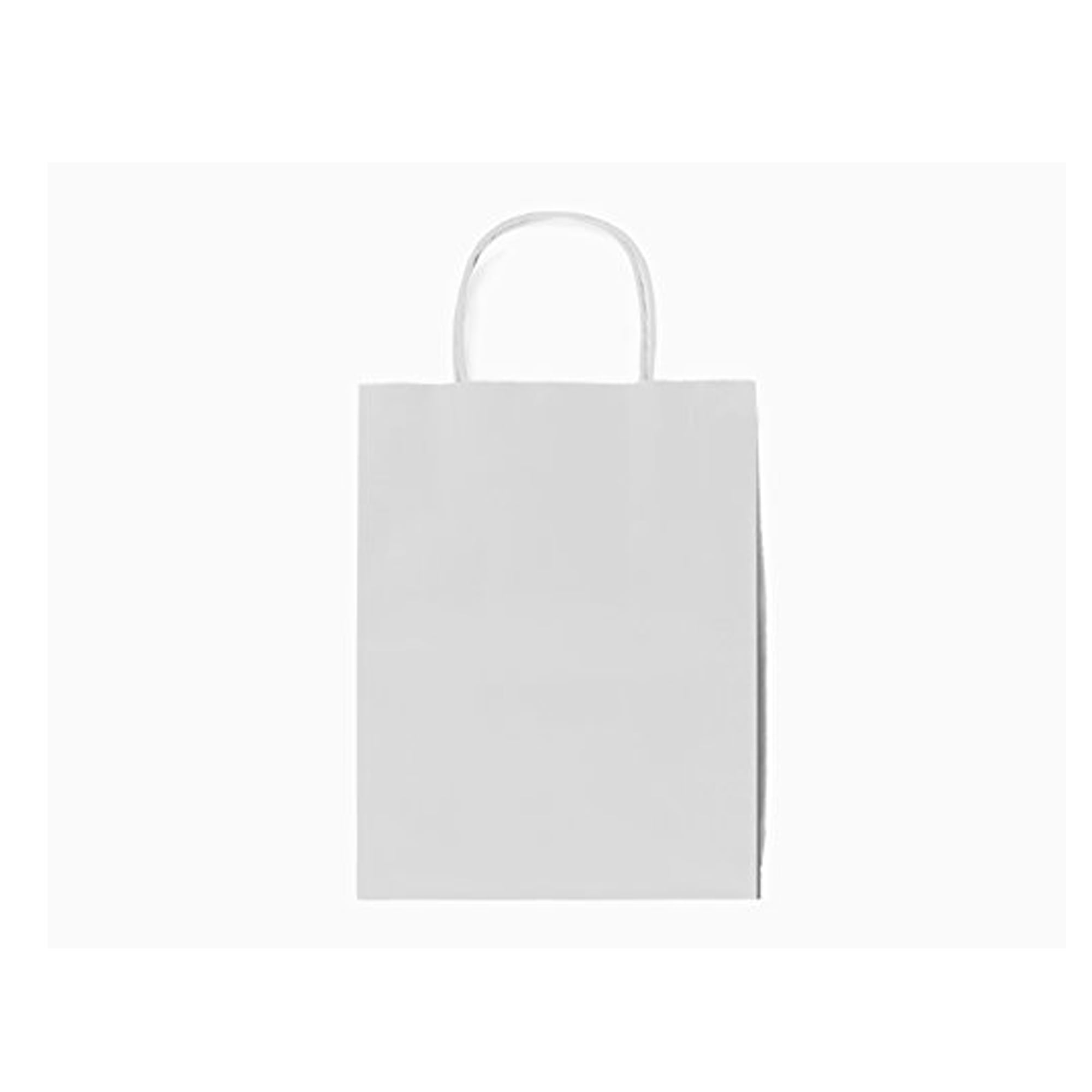 12CT Large White Kraft Bags, Biodegradable, FOOD SAFE INK & PAPER