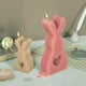 thumbnail image 5 of 2 uds moldes para velas de conejito molde portátil de conejo molde para jabón de cera moldes para velas de animales, 5 of 6