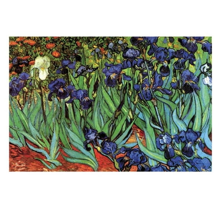 Iris Wall Fixture - Irises Print Wall Art By Vincent van Gogh