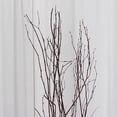 thumbnail image 5 of BalsaCircle 6 Natural Extra Long 46" Decorative Birch Tree Branches Vase Fillers Rustic Dried Twigs Sticks Wedding Party, 5 of 8