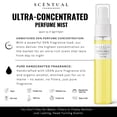 thumbnail image 4 of Bruma de perfume Scentual Fragrances Crème Brûlée 120 ml, 4 of 4
