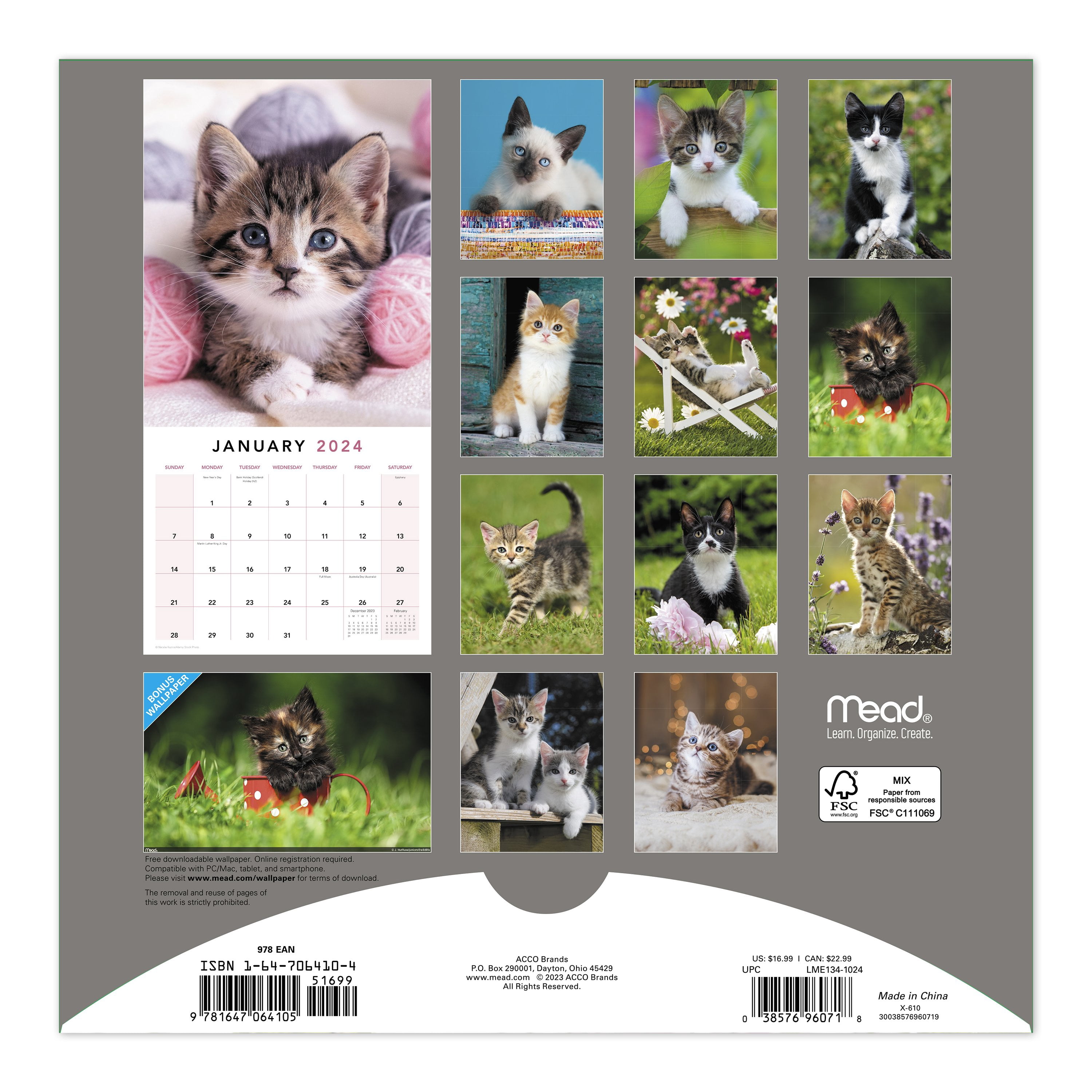 Mead Kittens Wall Calendar