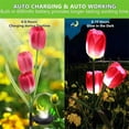 thumbnail image 4 of 2pcs Solar Garden Lights Outdoor Waterproof Solar Powered Tulip Flower Stake Lights For Pathway Garden Backyard Lawn Decor, 4 of 9