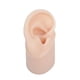 thumbnail image 5 of Jumpingount Modelo de oreja de silicona Herramientas de aprendizaje de oreja falsa Textura delicada derecha 2piezas Bien, 5 of 6