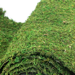FAICOIA Moss Table Runner Dried Moss for Crafts Green Moss Roll for Fairy  Gardens Wedding Woodland Decor 12 x 71 Preserved Moss Mat for Table