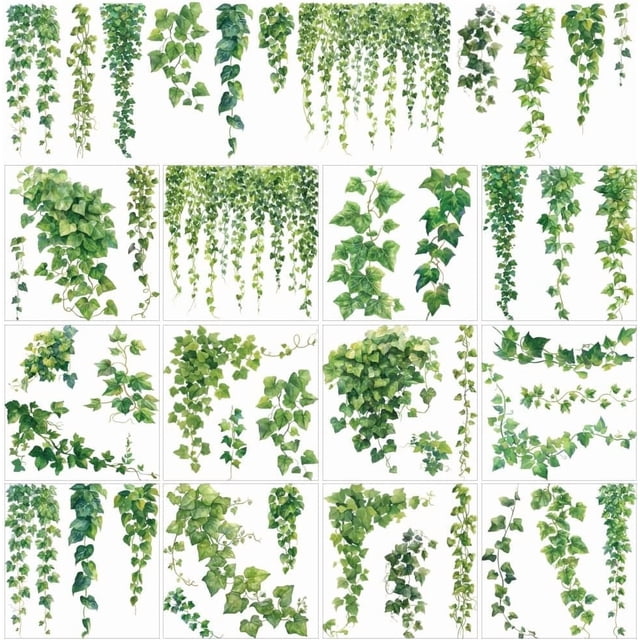 12 hojas de hermosas hojas de hiedra verde y enredaderas, pegatinas de transferencia para frotar, plantas verdes, pegatinas decorativas para ventanas.