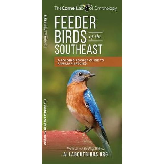 All about Birds Feeder Birds of the Southeast, (Paperback)