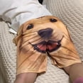 thumbnail image 6 of JHIALG 3D Dog Head Shorts, Men's Pajama Pants Golden Retriever Sleep Shorts, Funny Men's Quick Dry Athleisure Pants E7N2, 6 of 8
