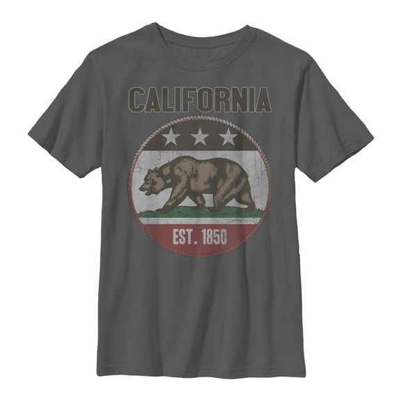 Boy's Lost Gods California Est 1850  Graphic Tee Charcoal X Large