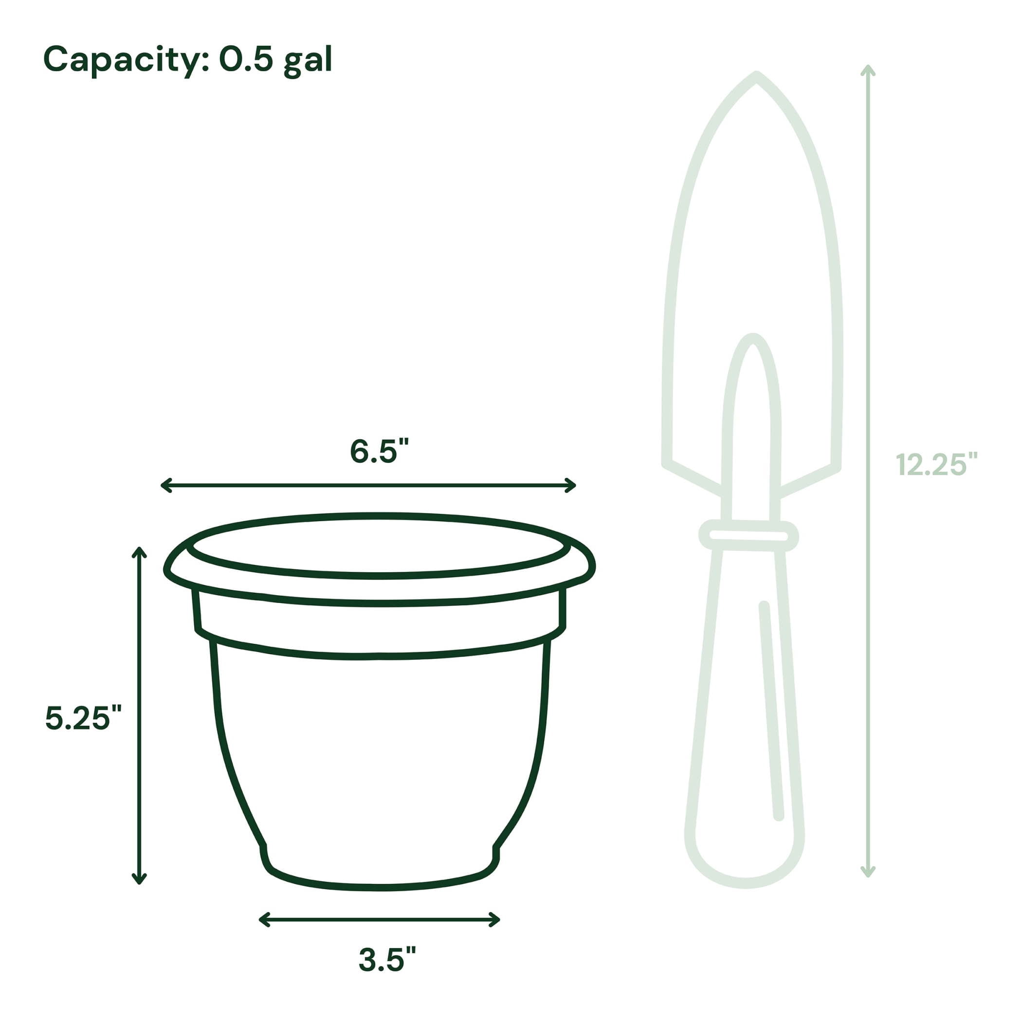 Bloem Ariana 6" Self-Watering Plastic Planter - Rolled Rim Indoor/Outdoor Garden Pot, Charcoal