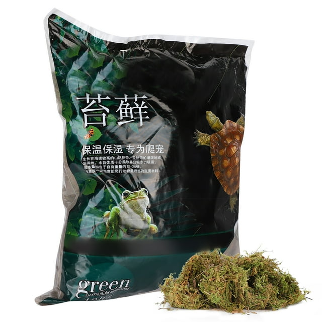 Reptile Terrarium Moss Green Sphagnum Moss Substrate Decoration Reptile Supplies