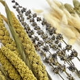 thumbnail image 5 of Bergamo Art 14 Inch High Real Preserved Mixed Bouquets Mix 2 in Medium, 5 of 9