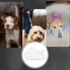thumbnail image 2 of Impermeable para perros de cuatro patas, impermeable, de cobertura completa, para perros medianos y grandes, impermeable transparente para perros pequeños., 2 of 7