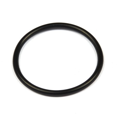 Briggs and Stratton Seal O-Ring