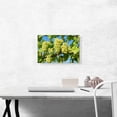 thumbnail image 2 of ARTCANVAS Green Grapes Home decor Canvas Art Print - Size: 18" x 12" (1.50" Deep), 2 of 9