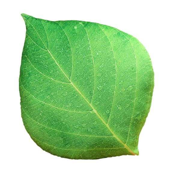chaungfeng Leaf Shaped 3D Throw Pillows,Soft Plush Green Leaf Pillow Decorative Pillow for Plant Lovers,Aesthetic Cute Pillow for Bed Sofa Car Floor Couch Living Room Bedroom Decor 17x14 in