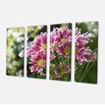 thumbnail image 2 of Fleur de Chrysanthème Violette - Impression sur Toile, 2 of 3