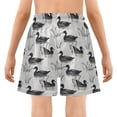 thumbnail image 5 of joogoo Retro Ducks Swim Boys Swim Trunks Beach Swimsuit Shorts Boxer 5-6T, 5 of 8