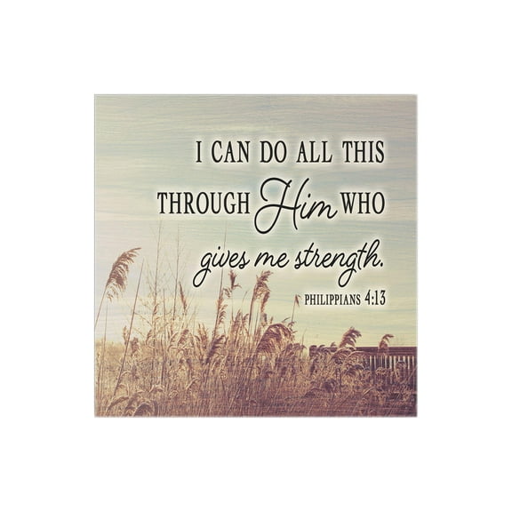 Can Do All Things Through Him Tan Grasses 12 x 12 Wood Wall Sign Plaque