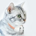 thumbnail image 2 of TIEVOSA Automatic Cat Collar – Smart Interactive Hands to Keep Cats ， Pointer Cat Tumbler Wobble USB Charging Vibration Exerciser, 2 of 4