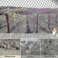 thumbnail image 5 of Heavy Anti Bird Netting Net Garden Fence And Crops Protective Fencing Mesh Anti Bird Deer Cat Dog Chicken Net Fishing Net-hao, 5 of 5
