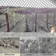 thumbnail image 5 of Heavy Anti Bird Netting Net Garden Fence And Crops Protective Fencing Mesh Anti Bird Deer Cat Dog Chicken Net Fishing Net-hao, 5 of 5