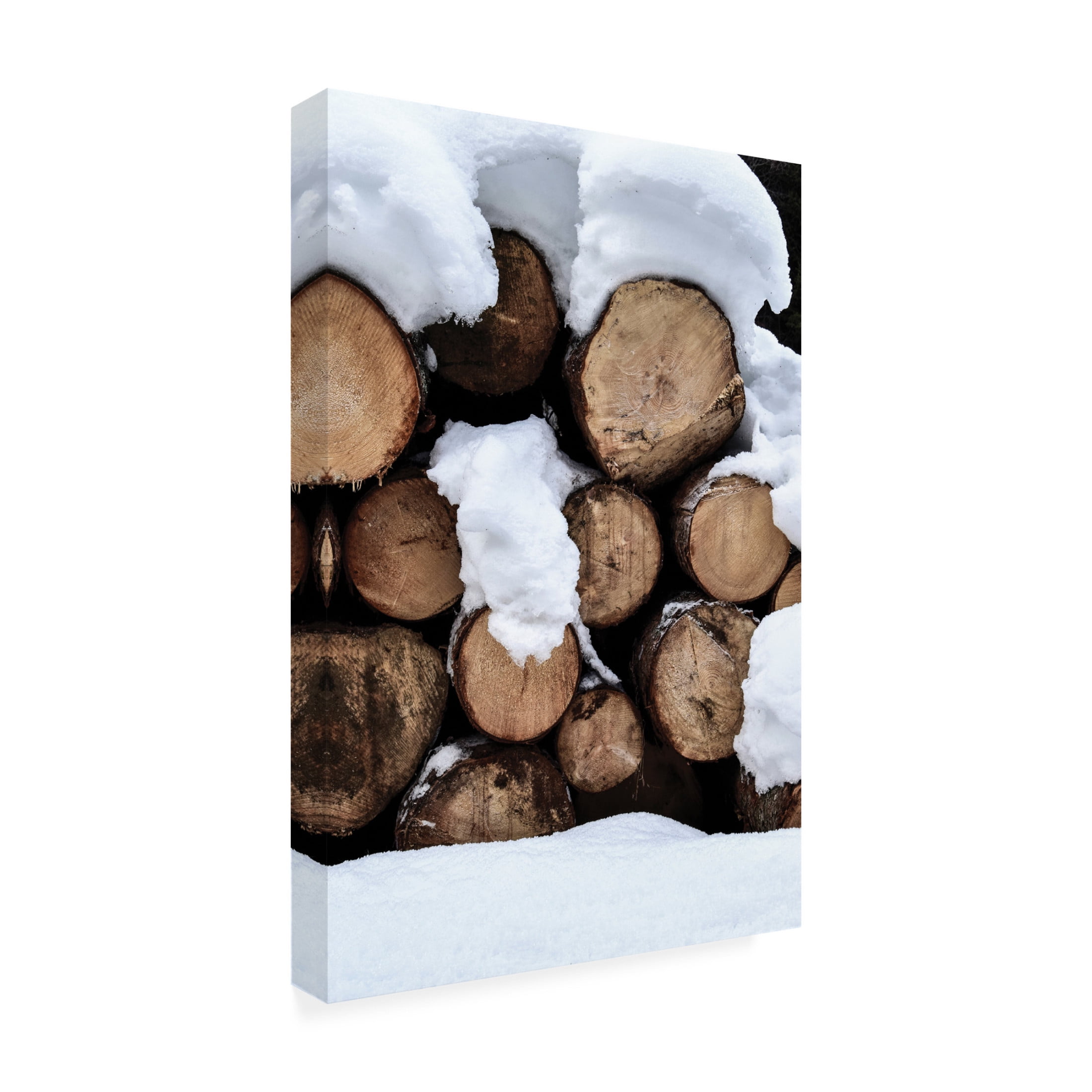 Canvas Wall Art - Incado 'Snow Covered Logs' Wall Art for Living Room, Bedroom, or Office Décor by Trademark Fine Art - 22 x 32 Inches