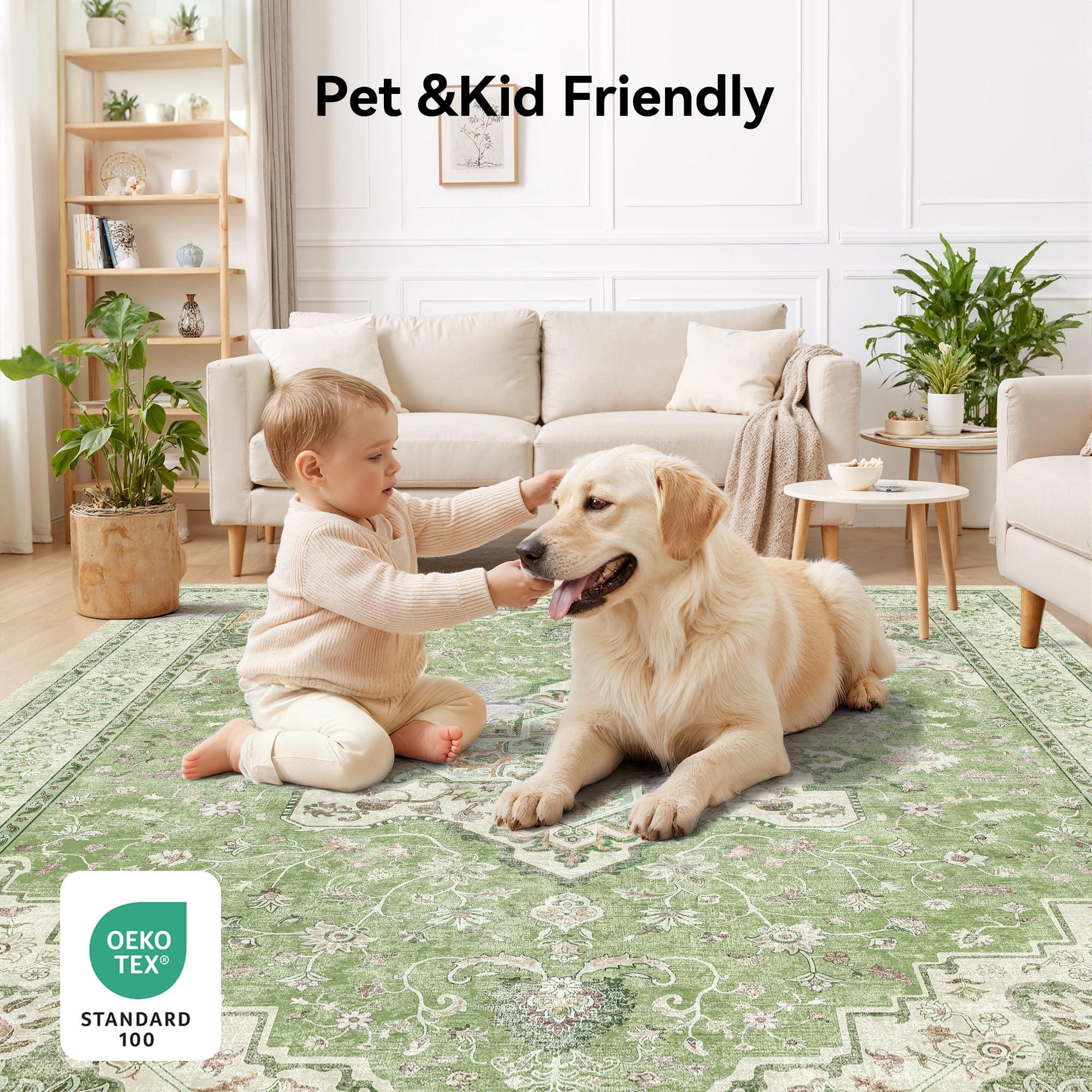 CHITOOMA 8'x10' Area Rugs for Living Room, Washable Rugs Vintage Soft Living Room Rug for Bedroom Dining Room Dorm Office with Non-Slip Backing, Stain Resistant Non-Shed Carpet