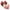 Multicolor1, variant on fatyb Women's Everyday Bras Front Closure Full Coverage Bra 4 Pack No Underwire Bralettes for Ladies