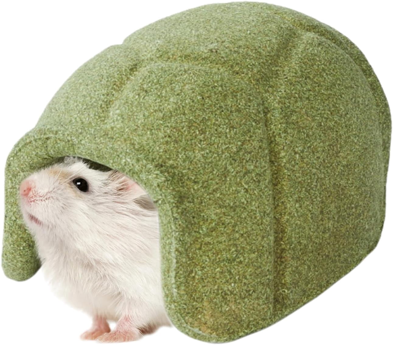 Hamster Chew Toy, Turtle Shell Hideout, All-Season, for Fancy Hamsters