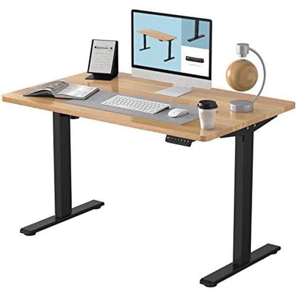 FLEXISPOT EN1 Electric White Stand Up Desk 48 X 24 Inches WholePiece