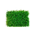 thumbnail image 1 of Pared De Plantas, Fondo De Césped Artificial Plantado Verde, Pared Verde, Decoraciones De Jardín De Flores Falsas De Plástico Para Puerta, Balcón Yuarrent HA039809-03, 1 of 6