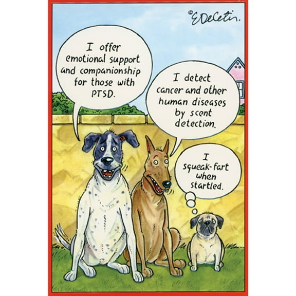 Pictura Squeak Fart Dog Funny / Humorous Birthday Card