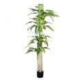thumbnail image 4 of 6  Artificial Dracaena Tree in Black Plastic Pot Realistic Indoor Faux Plant 1 Set, 4 of 11