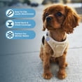 thumbnail image 5 of Best Pet Supplies Voyager Step-In Plush Suede Dog Harness, 5 of 8