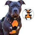 thumbnail image 2 of Dog Harness, No-pull Pet Harness With 2 Leash Clips, Adjustable, 2 of 5
