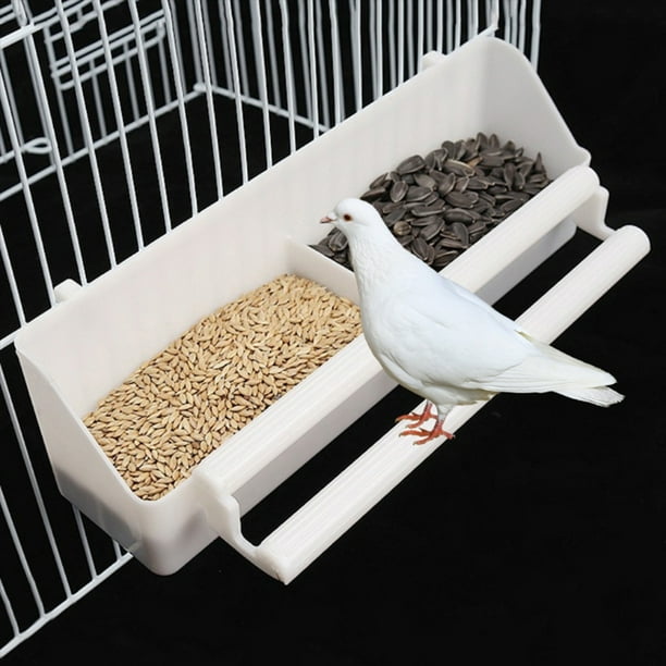 Mynah bird cheap food supplies