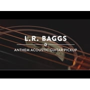 L. R. Baggs Anthem SL Classical Acoustic Guitar Pickup + Microphone