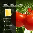 thumbnail image 4 of BENTISM 200W LED Grow Light Samsung 281B+PRO Chips Greenhouse Growing Light Full Spectrum Indoor Plants, 4 of 10