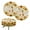 Axolotl Sunflower, variant on ZUXONGSY Marble Print Round Stool Covers 2 PCS Size S Stool Covers Cushion 12"-14" Stretchy Circle Chair Dust Covers Protector Easy to Install and Clean for Kitchen Cafe Hotel