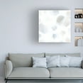 thumbnail image 2 of Trademark Fine Art June Erica Vess  Snow Pebble I Canvas Wall Art, 2 of 4