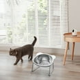 thumbnail image 4 of OAVQHLG3B Elevated Cat Bowls, Stainless Steel Cat Food Bowls with Metal Stand Whisker Stress-Free, Raised Food and Water Dish for Cats, Kitten, Puppies and Small Dogs, 4 of 6