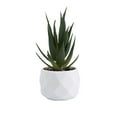 thumbnail image 1 of Artificial Potted Plant W/ Pot Small Faux Decor In/Outdoor FAUSELLER, 1 of 8