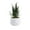 I, variant on Artificial Potted Plant * W/ Pot Small Faux Fake Cacti Decor A8F3
