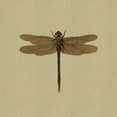 thumbnail image 2 of CafePress - Dragonfly Vintage - Canvas Lunch Bag with Strap Handle, 2 of 2