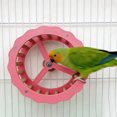 thumbnail image 4 of BotaniNest Parrot Exercise Wheel And Steering Interactive Bird Activity Center With Chewable Wooden For Conures Budgies 1pc, 4 of 4