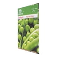 thumbnail image 2 of Semillas De Chicharo Germinal Verde 28 G 70 Cm, 2 of 3