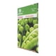 thumbnail image 2 of Semillas De Chicharo Germinal Verde 28 G 70 Cm, 2 of 3